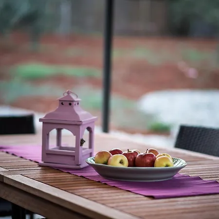 Βίλα Romantic - Pool, Nature, Privacy - By Traveler Tourist Agency Krk - Id 2182 Risika