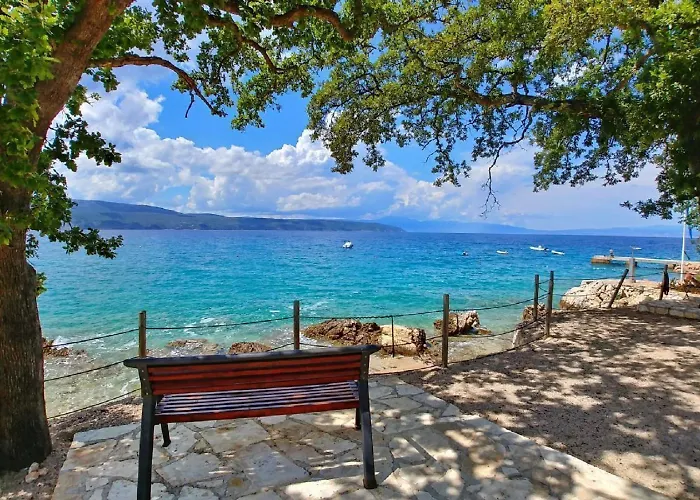 Romantic - Pool, Nature, Privacy - By Traveler Tourist Agency Krk - Id 2182 Villa Risika